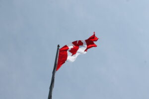 IMG 4297