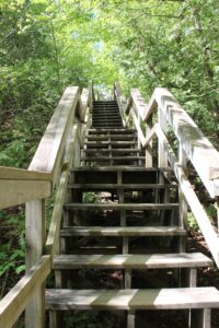 IMG 4530