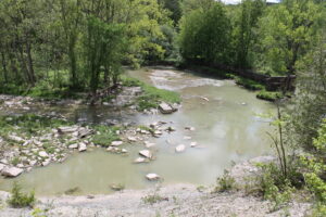 IMG 4539