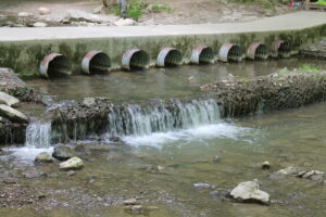IMG 4559