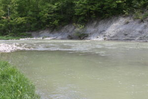 IMG 4570