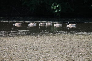 IMG 4638