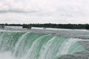 IMG 4703